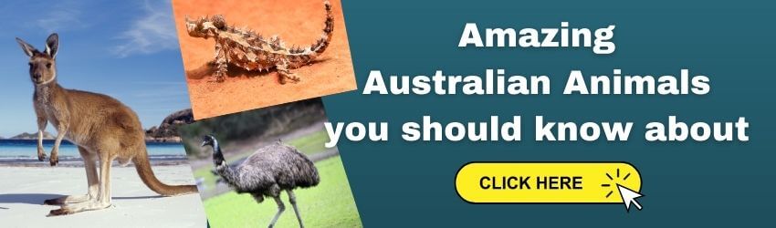 Australasia and Oceania Facts