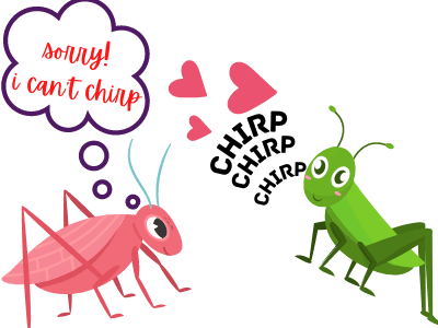 weird animal facts