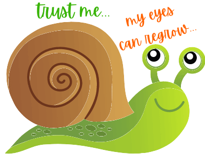 weird animal facts