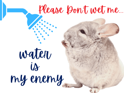 weird animal facts